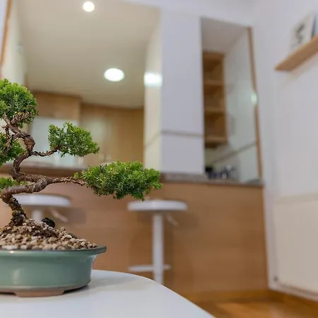 アパート Apartamento Carmela サンティアゴ・デ・コンポステーラ