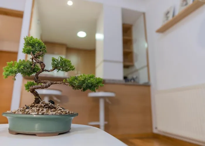 アパート Apartamento Carmela サンティアゴ・デ・コンポステーラ